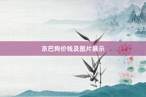京巴狗价钱及图片展示