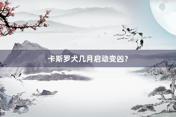 卡斯罗犬几月启动变凶?