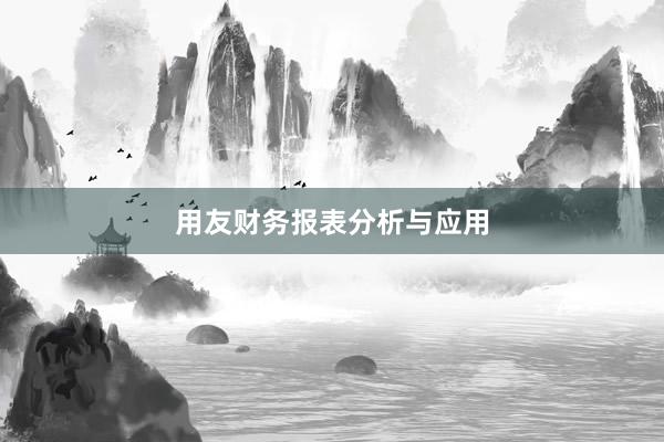 用友财务报表分析与应用