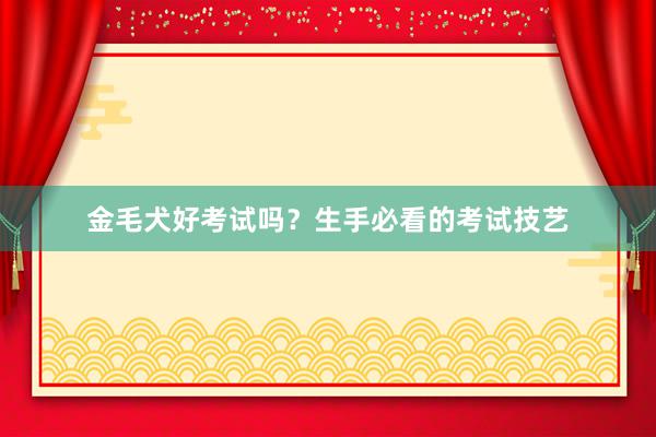 金毛犬好考试吗？生手必看的考试技艺